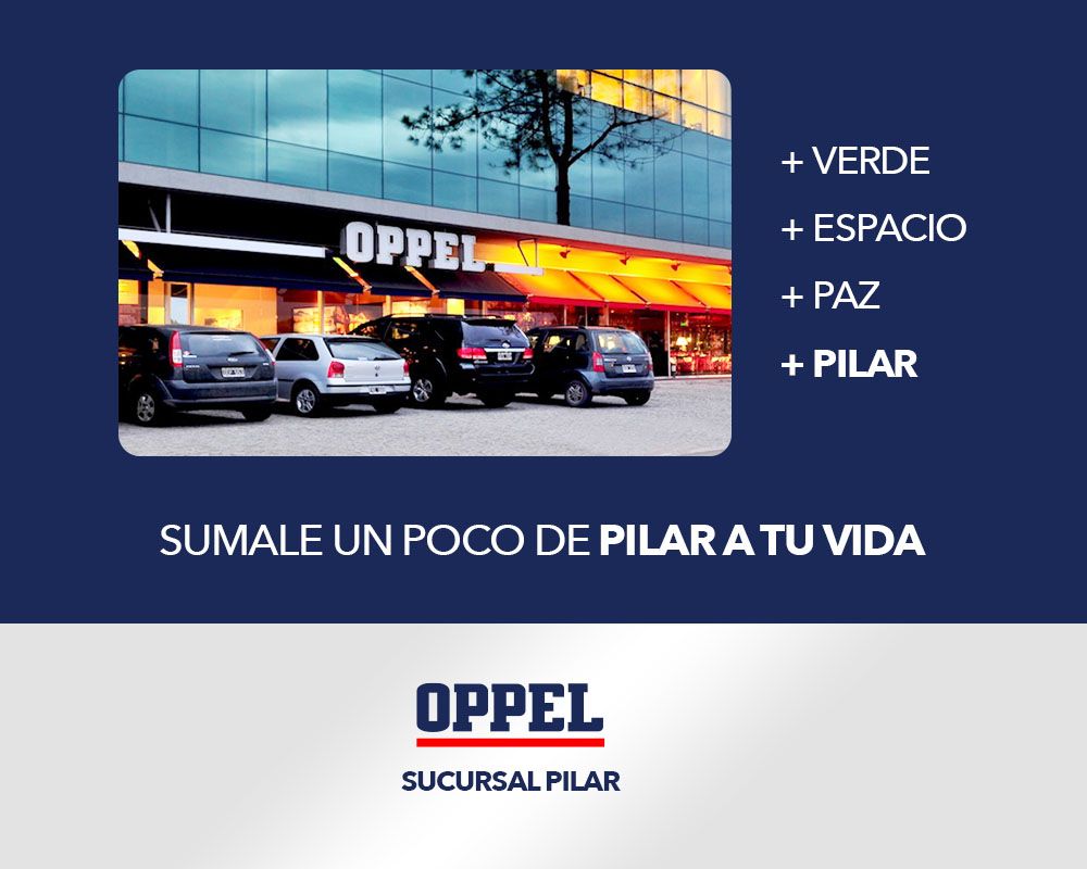Imagen 13