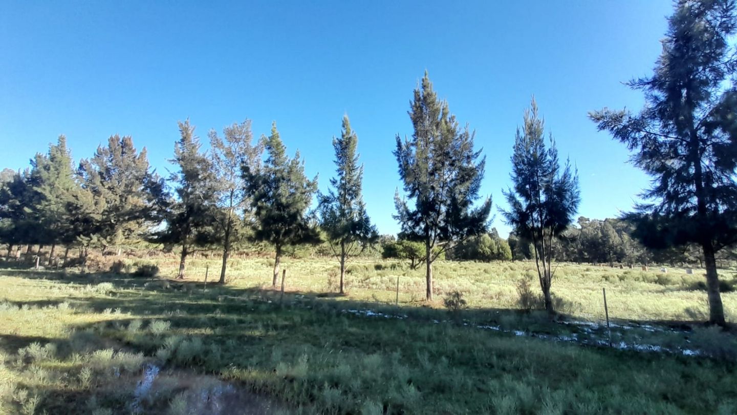Lote en Venta en Punta Indio, Buenos Aires Interior