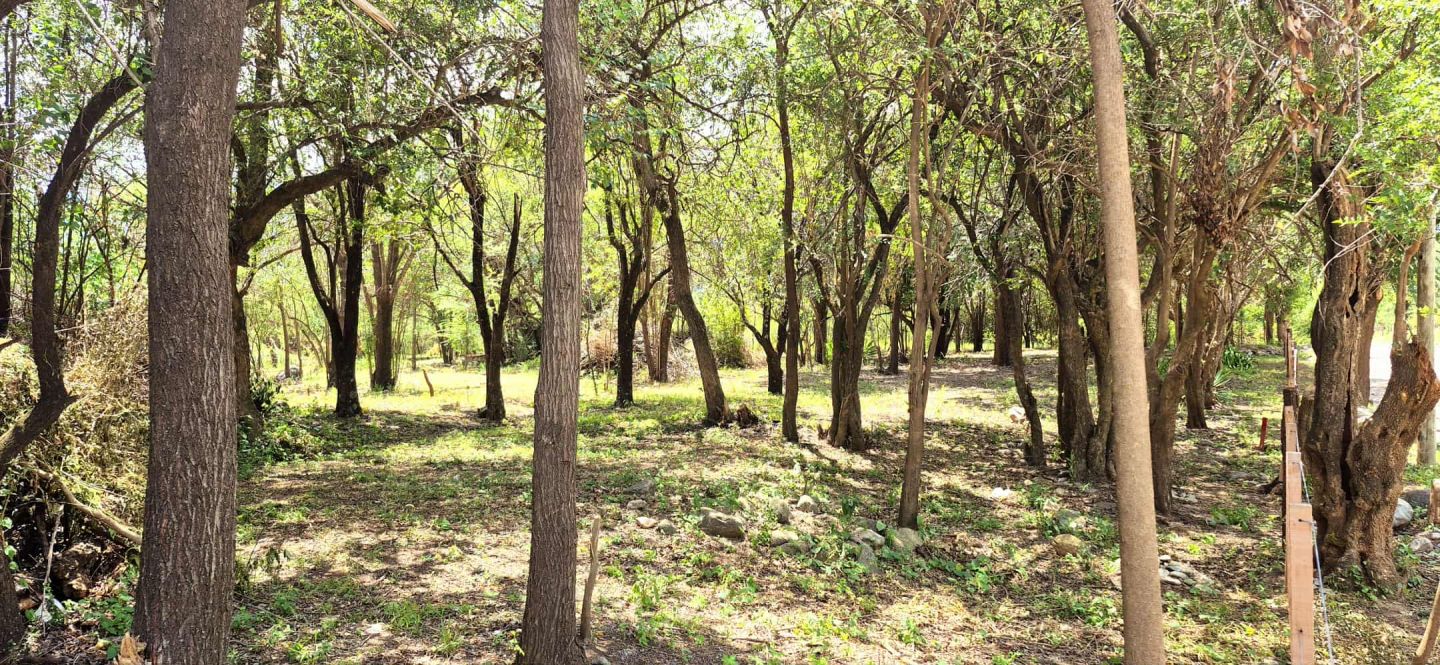 Lote EN VENTA