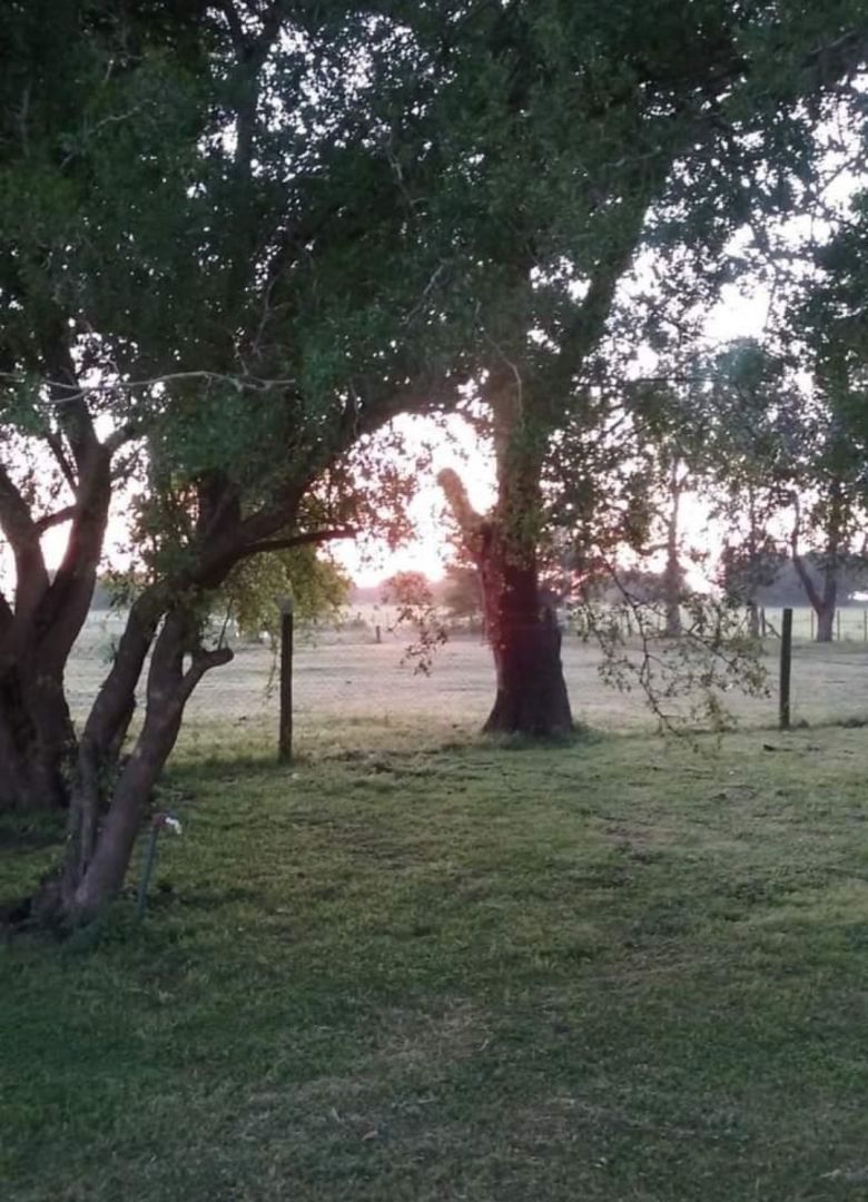 Imagen 4