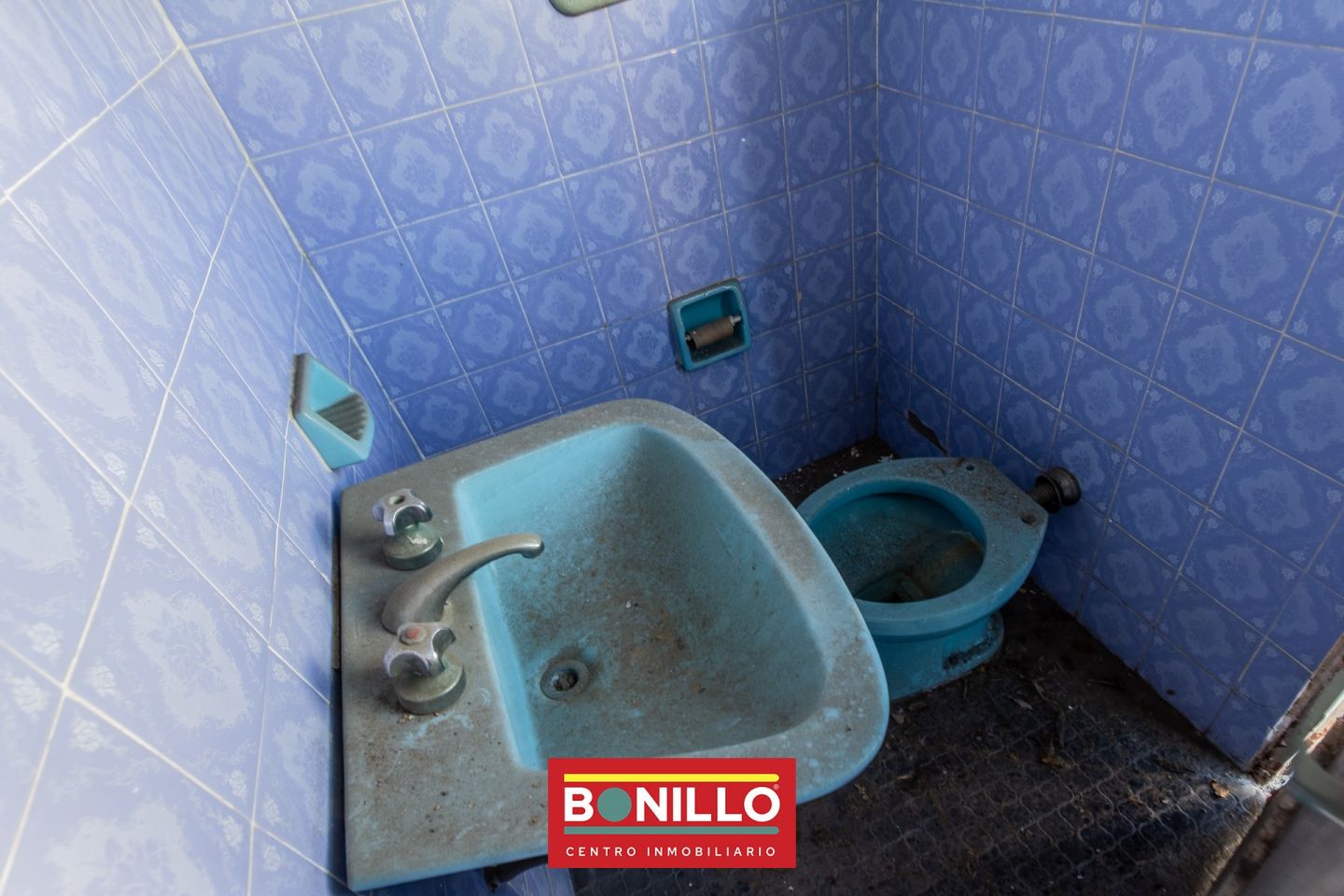 Imagen 24