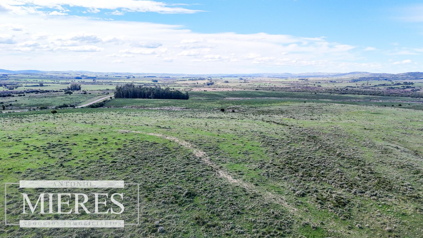 Campo EN VENTA