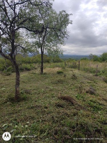 VENTA DE LOTE EN Santa Rosa de Calamuchita - 4