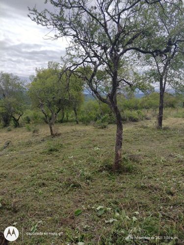 VENTA DE LOTE EN Santa Rosa de Calamuchita - 5