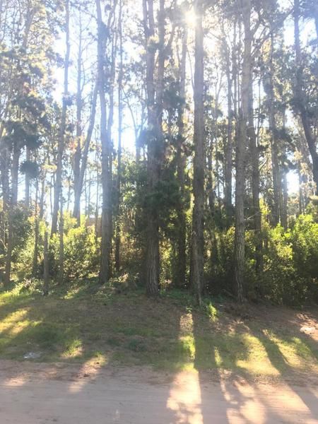 Lote EN VENTA