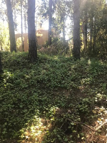 VENTA DE LOTE EN Costa Atlantica - Mar Azul - 23