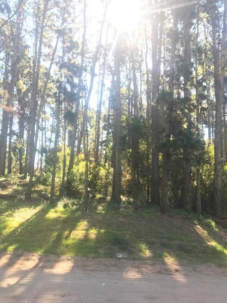Lote EN VENTA