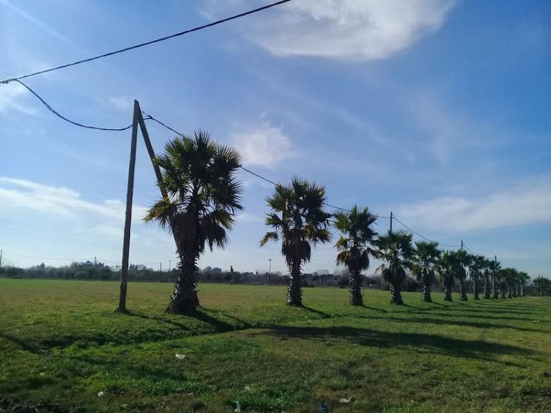 Lote EN VENTA