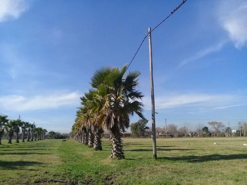 Lote EN VENTA