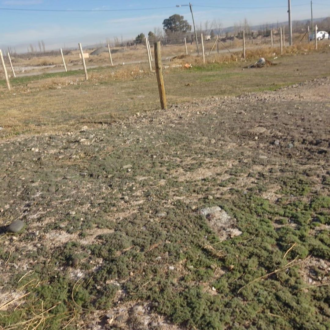 VENTA DE LOTE EN Neuquén - El Trébol - 5