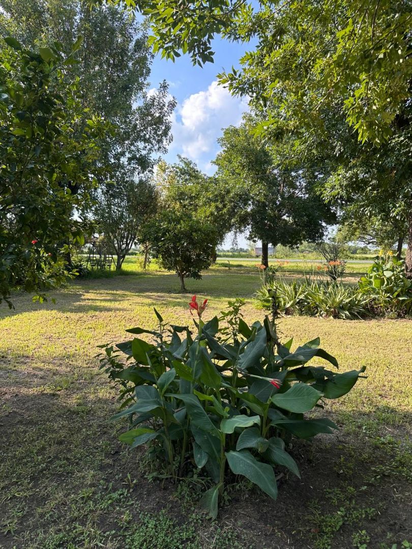 Casa en ruta provincial