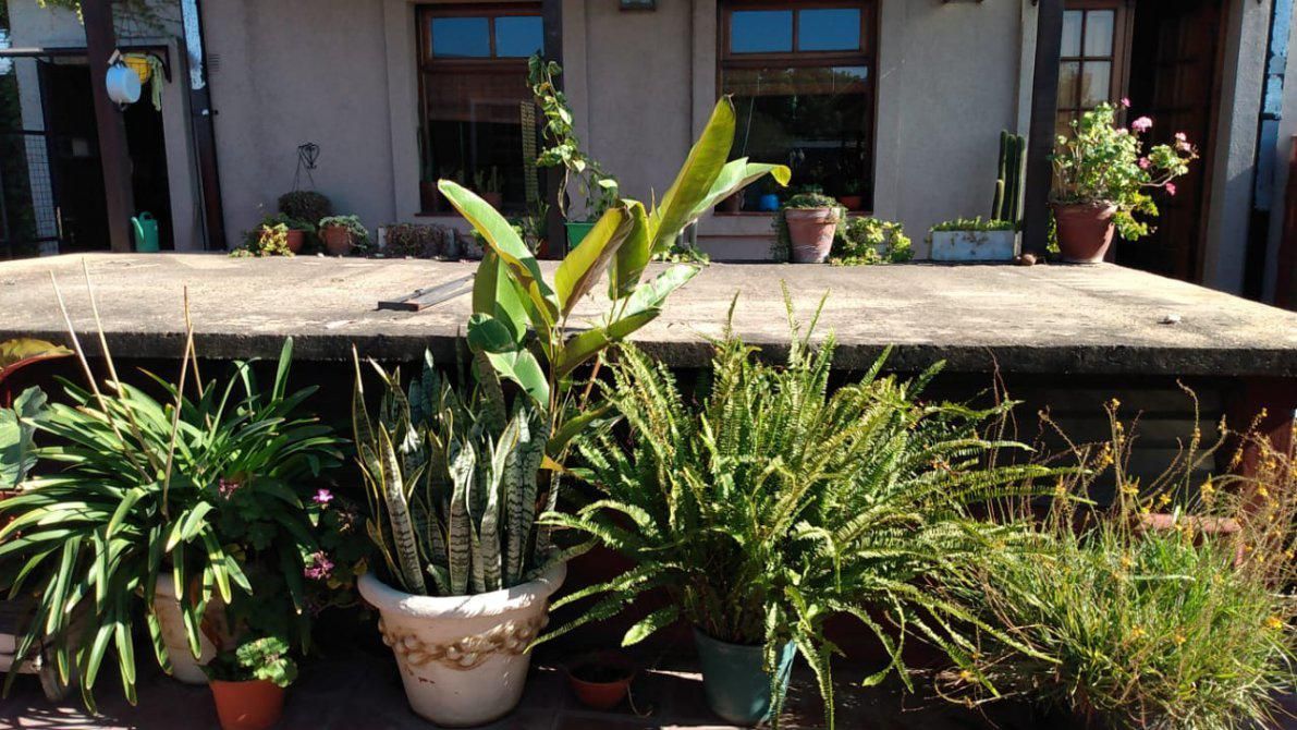 VENTA DE CASA EN G.B.A. Zona Sur - Monte Grande - 29