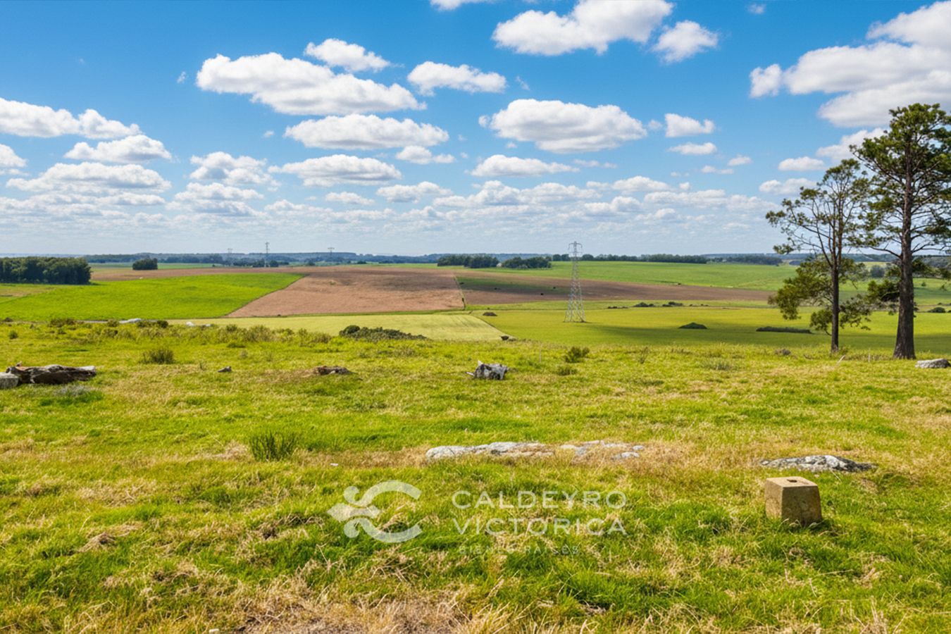 Campo EN VENTA