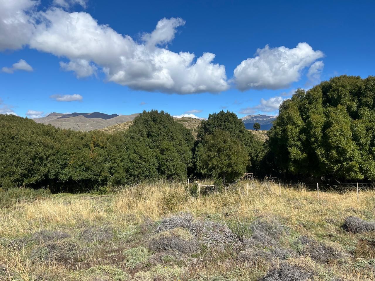Lote en Venta en Huiliches, Neuquen