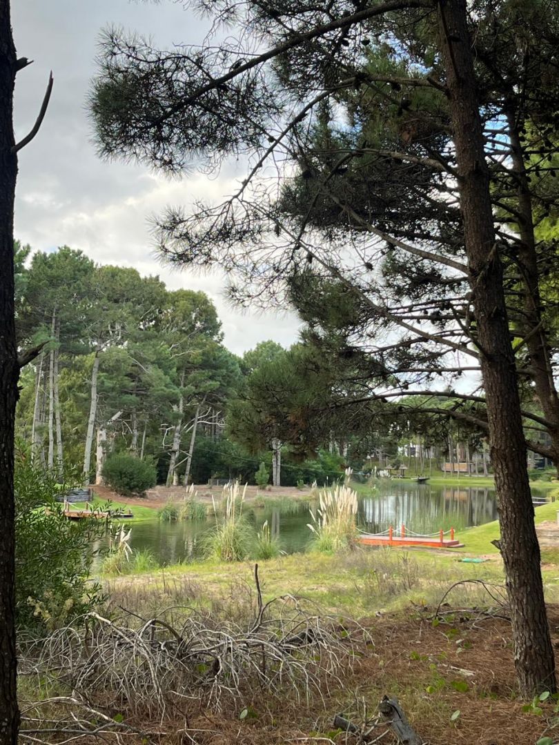 Lote EN VENTA