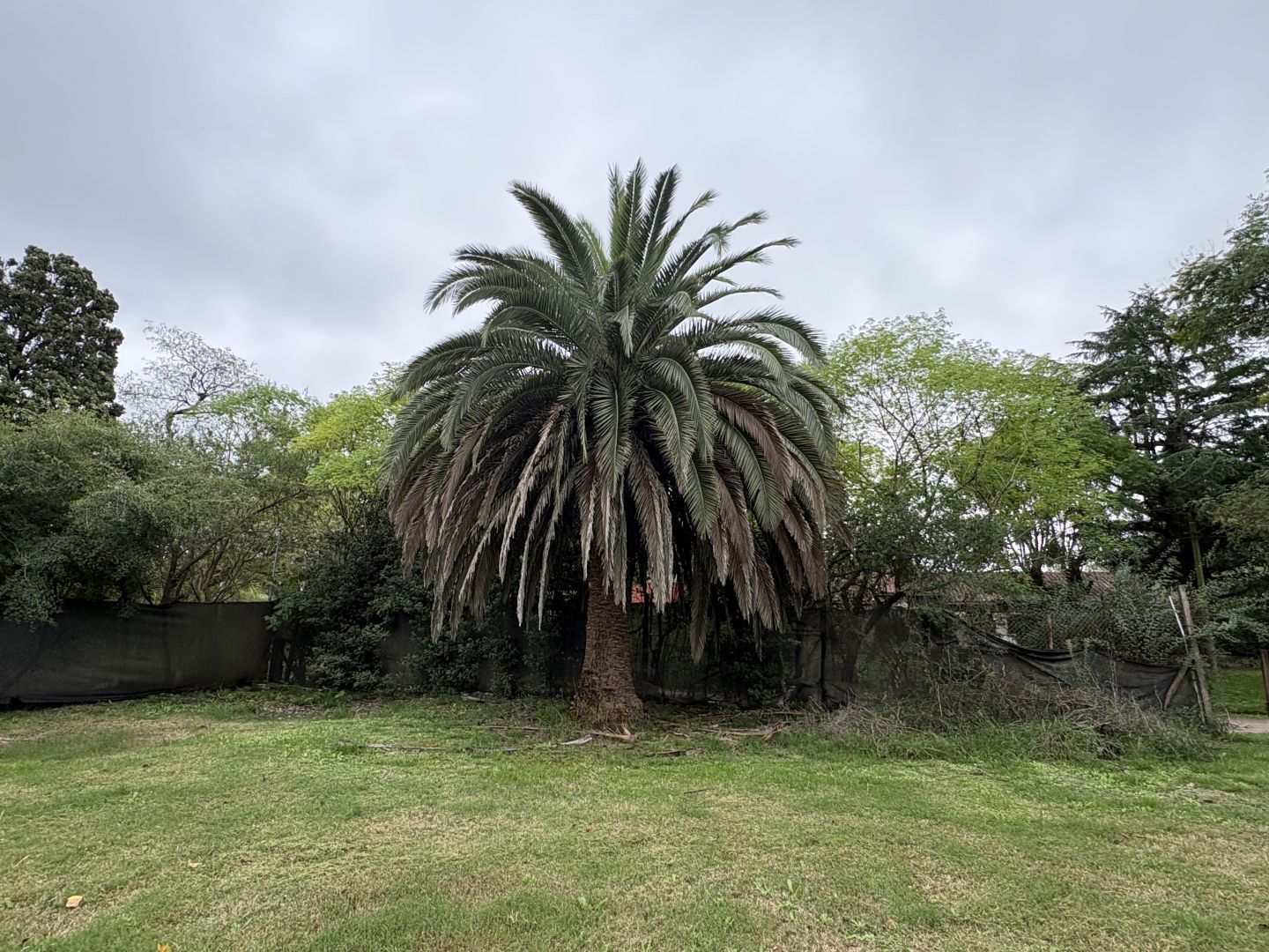 Lote EN VENTA