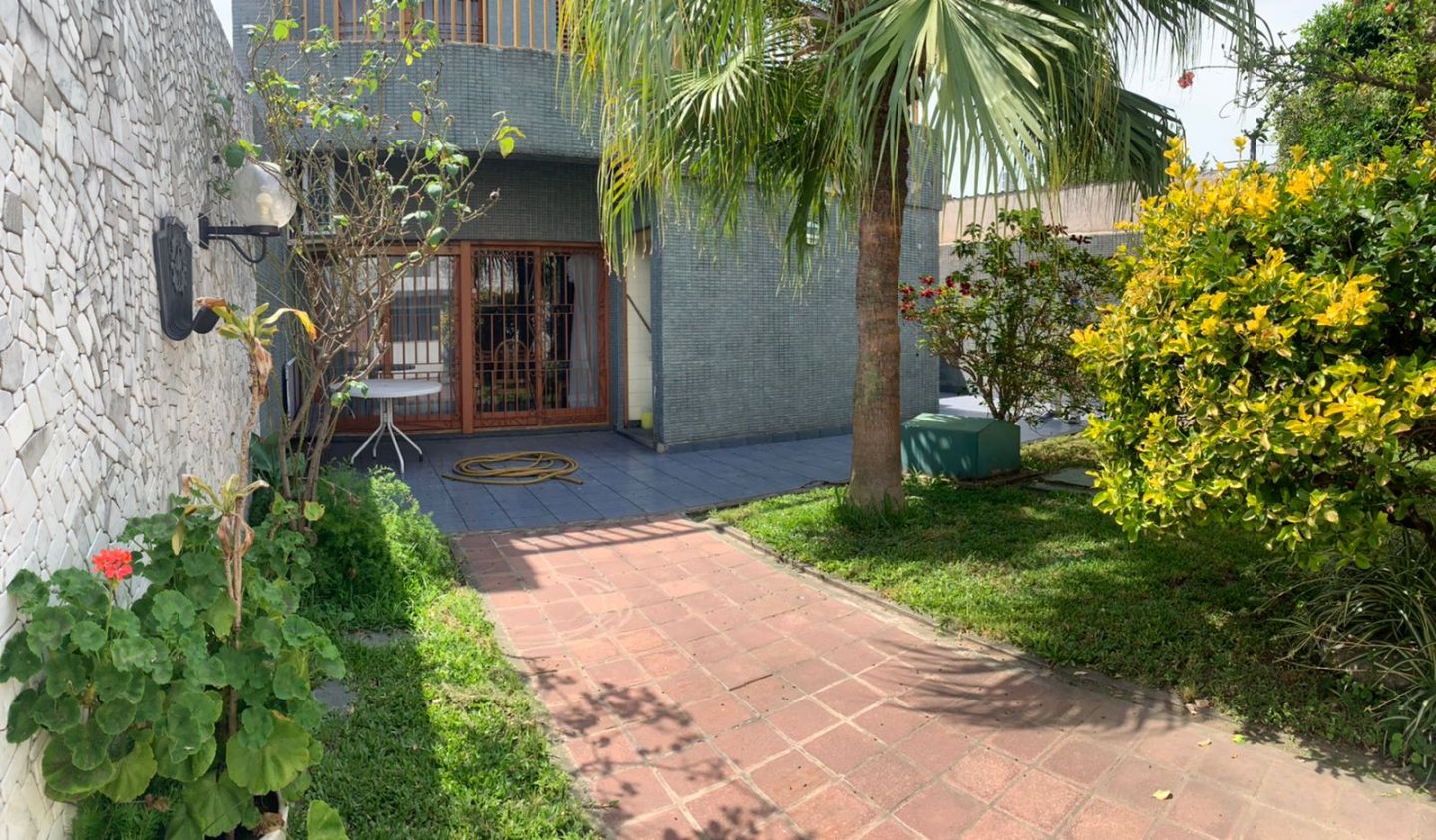 Imagen 6