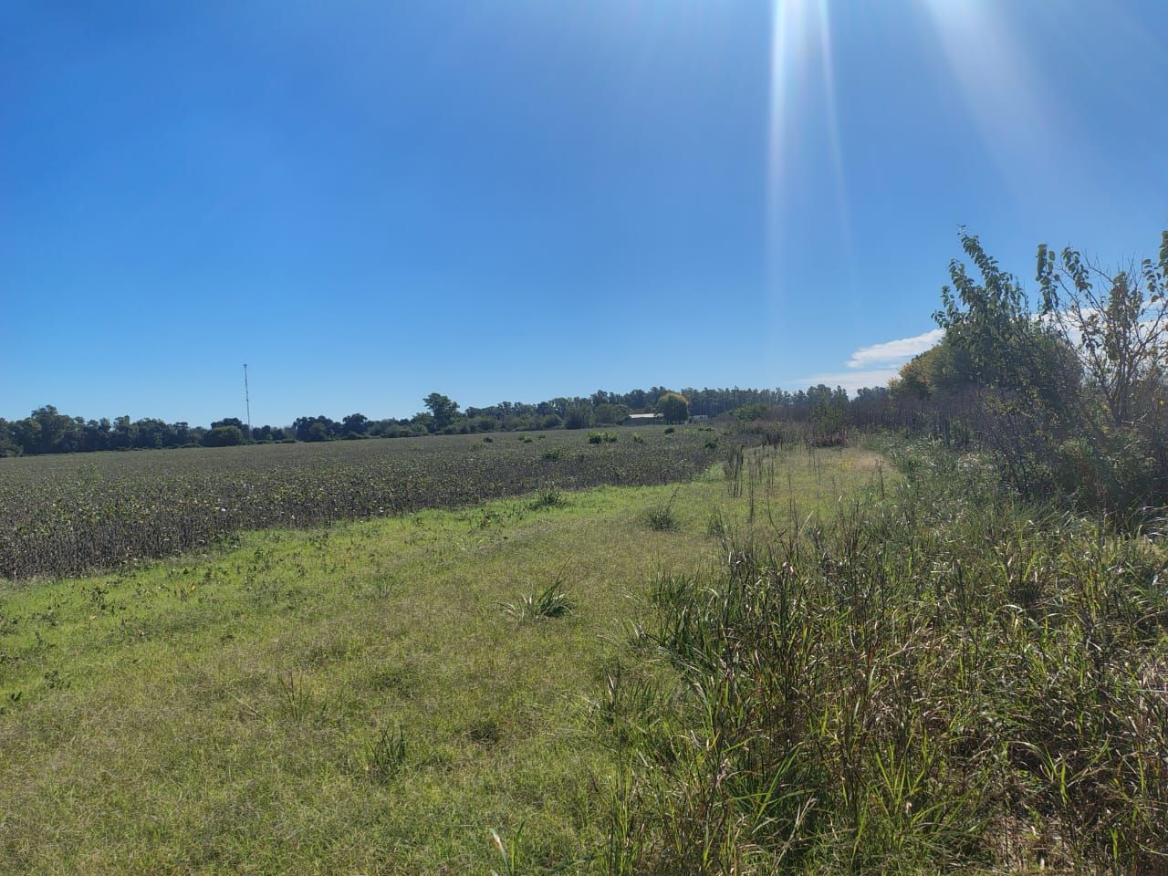 Campo en Venta en Zarate, G.B.A. Zona Norte