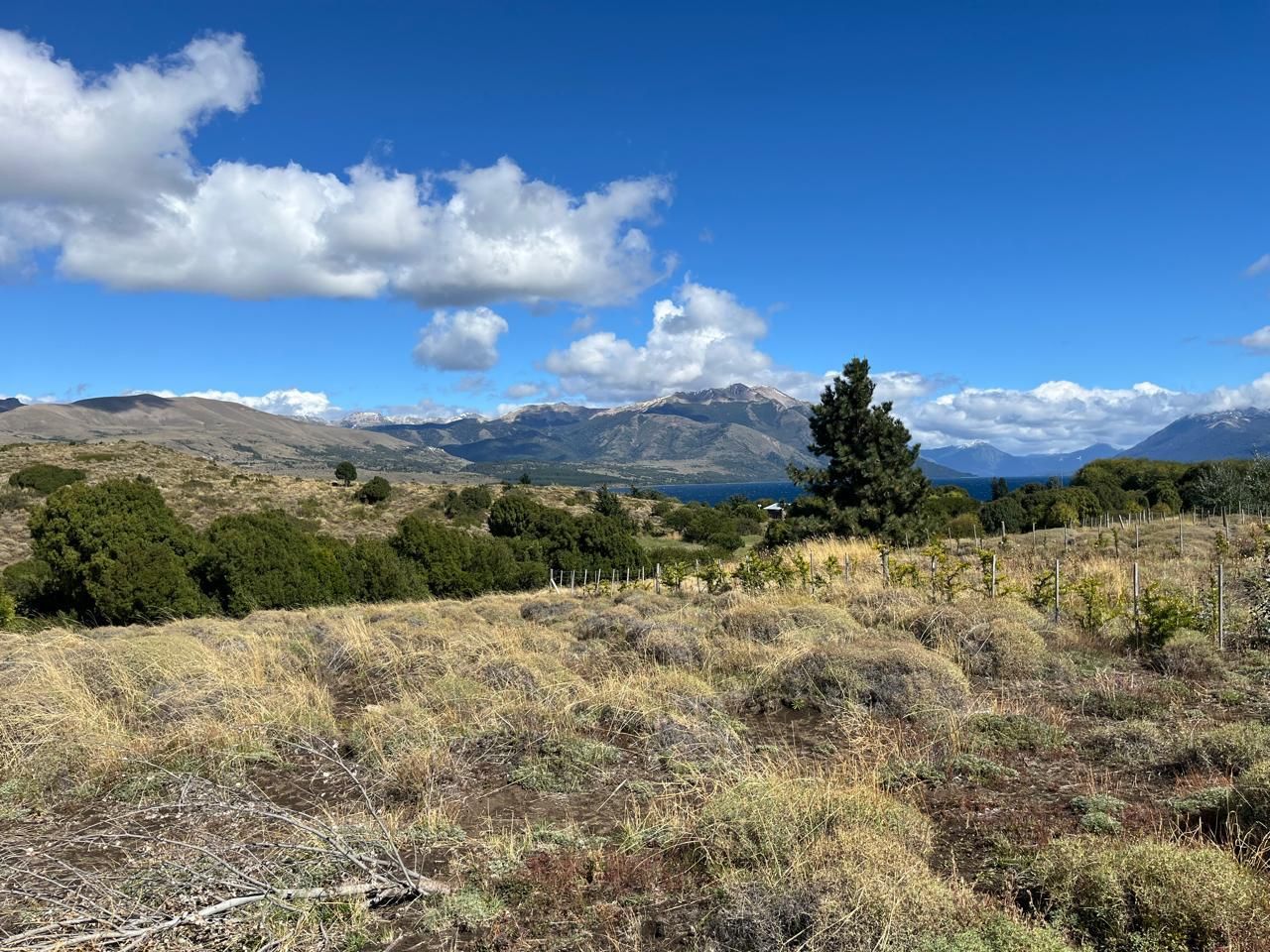 Lote en Venta en Huiliches, Neuquen