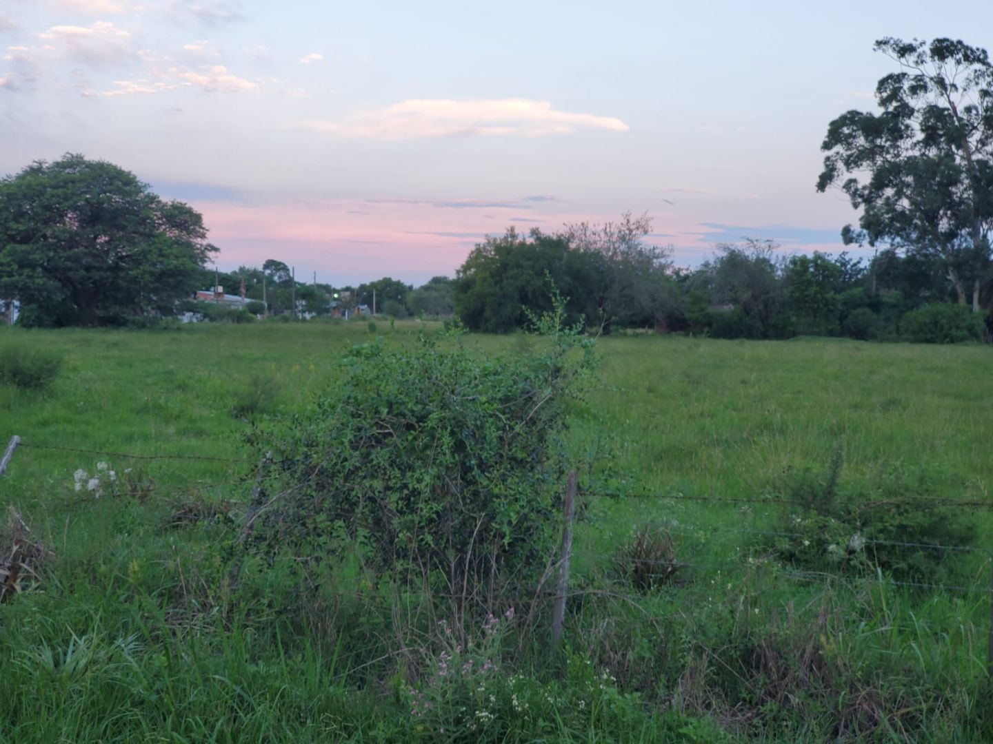 Lote EN VENTA