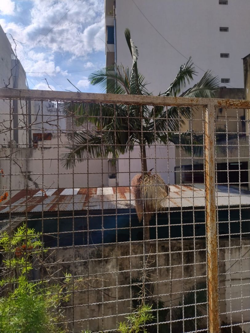 VENTA DE DEPARTAMENTO EN Capital Federal - Recoleta - 18