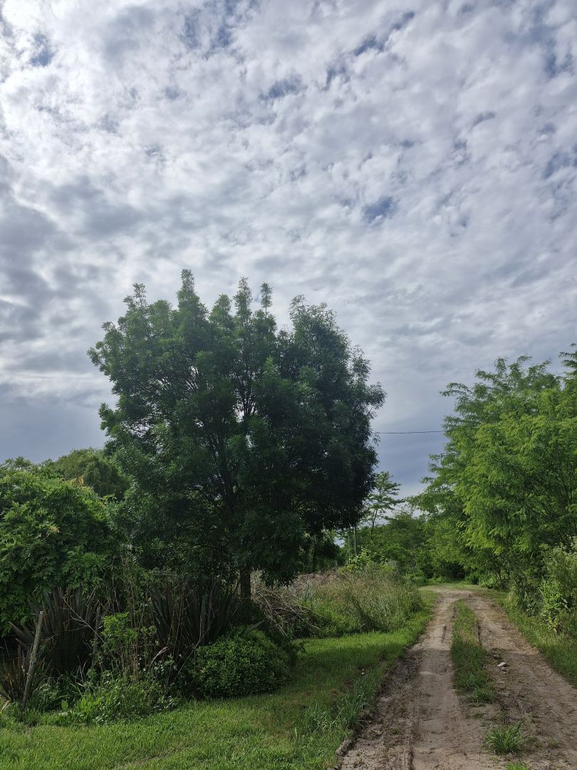 Lote EN VENTA