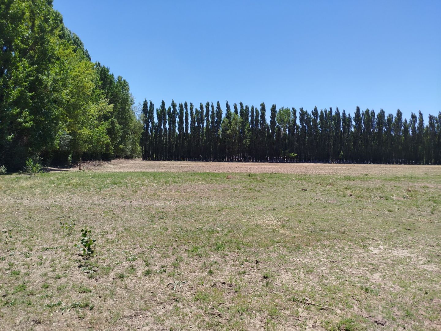 Lote en Añelo — foto 3