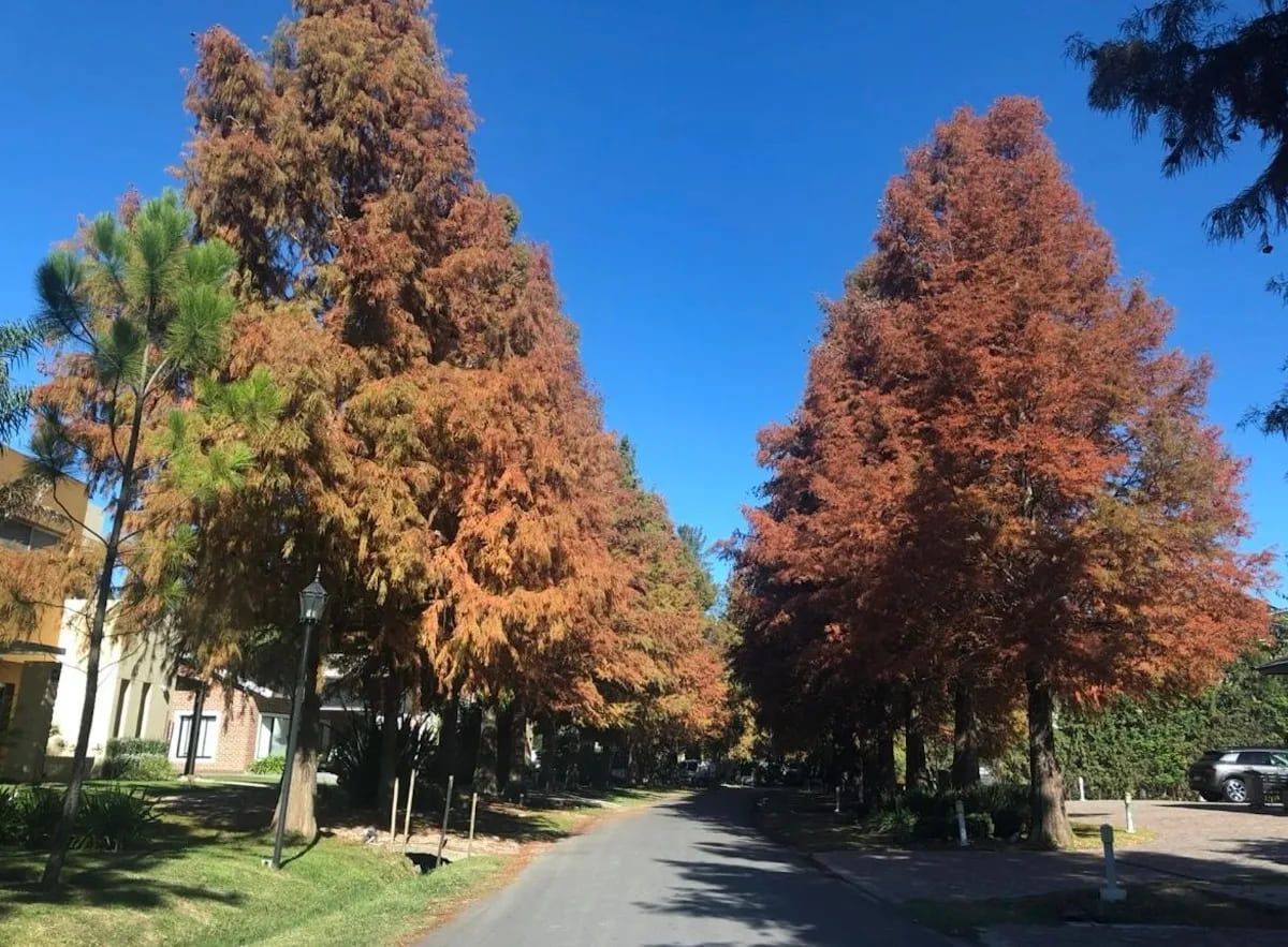 VENTA DE LOTE EN San Vicente - El Lauquen - 7