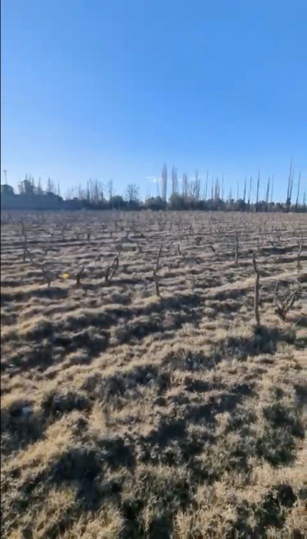 Lote en Venta en San Rafael, Mendoza