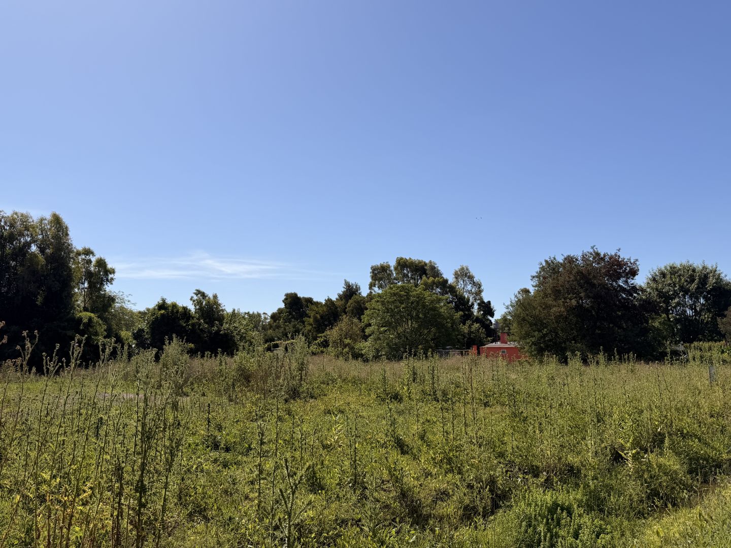 Lote EN VENTA