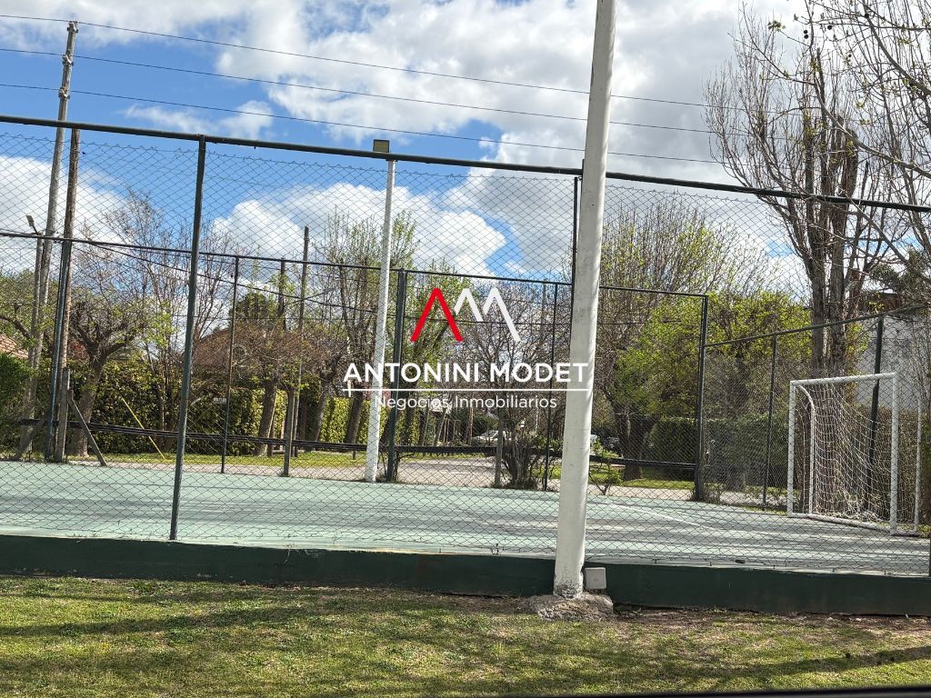 Imagen 30
