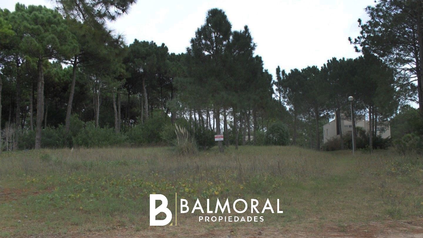 Lote EN VENTA