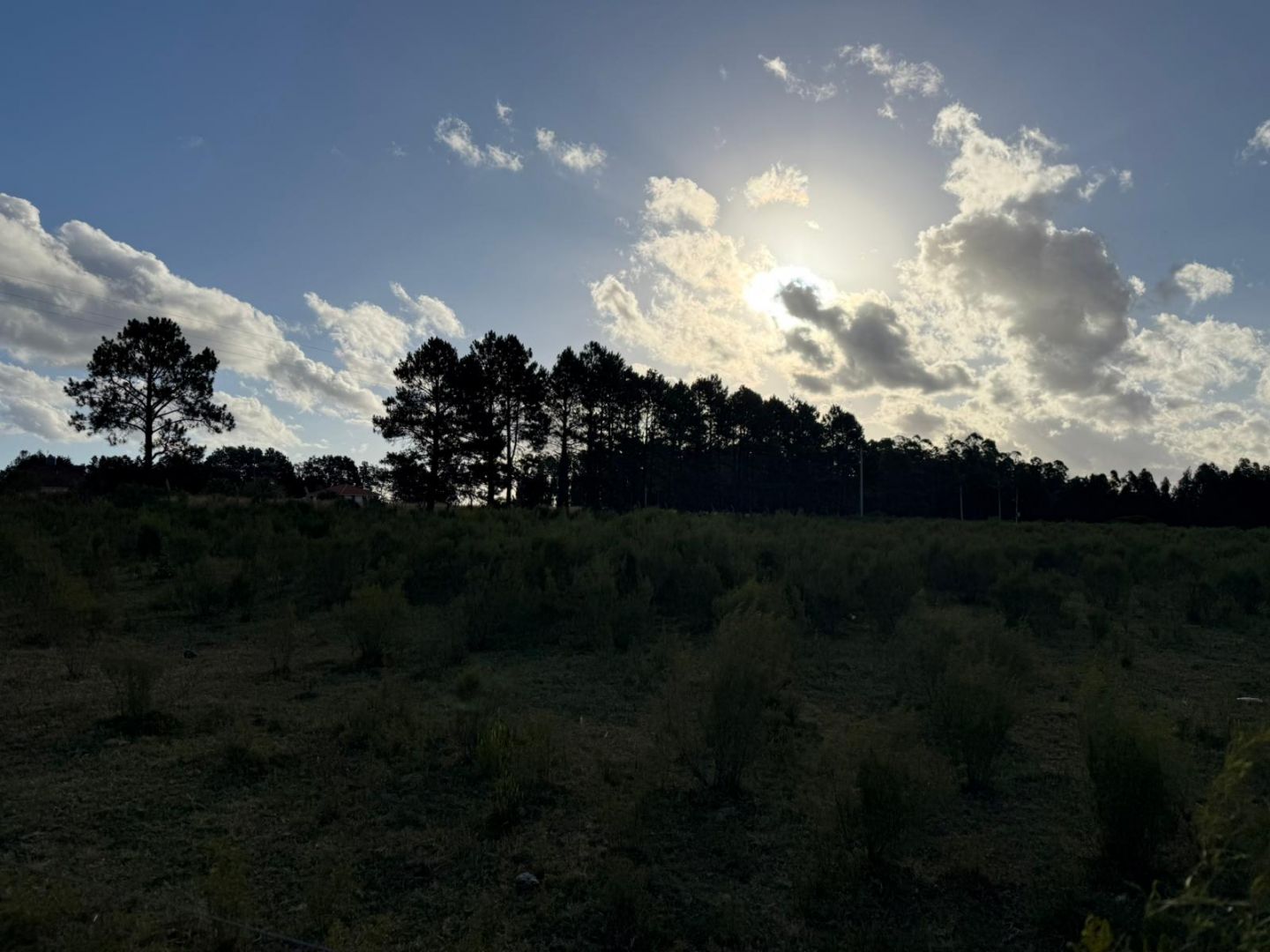 bg