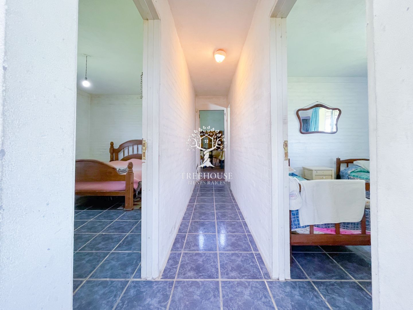 Quinta EN VENTA