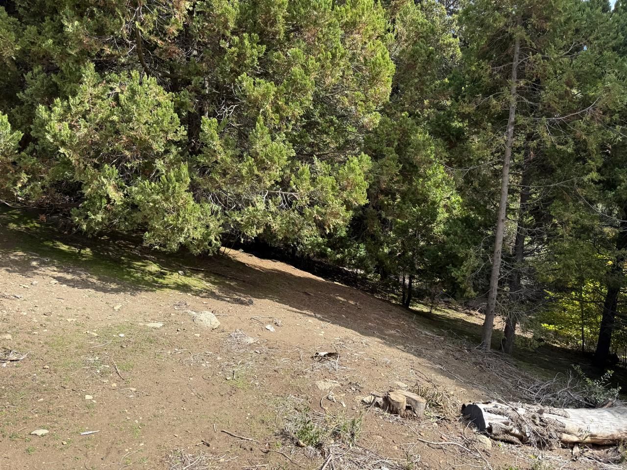 Lote en Venta en San Martin de los Andes, Neuquen