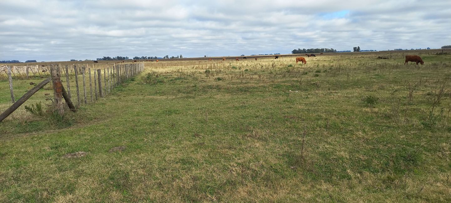 Campo EN VENTA