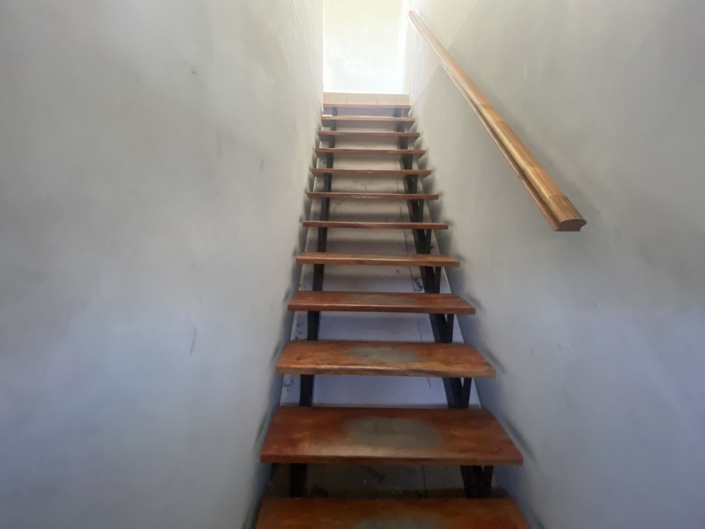 XO |, Venta de GalpÃ³n en Villa Martelli   Vicente López Foto14 