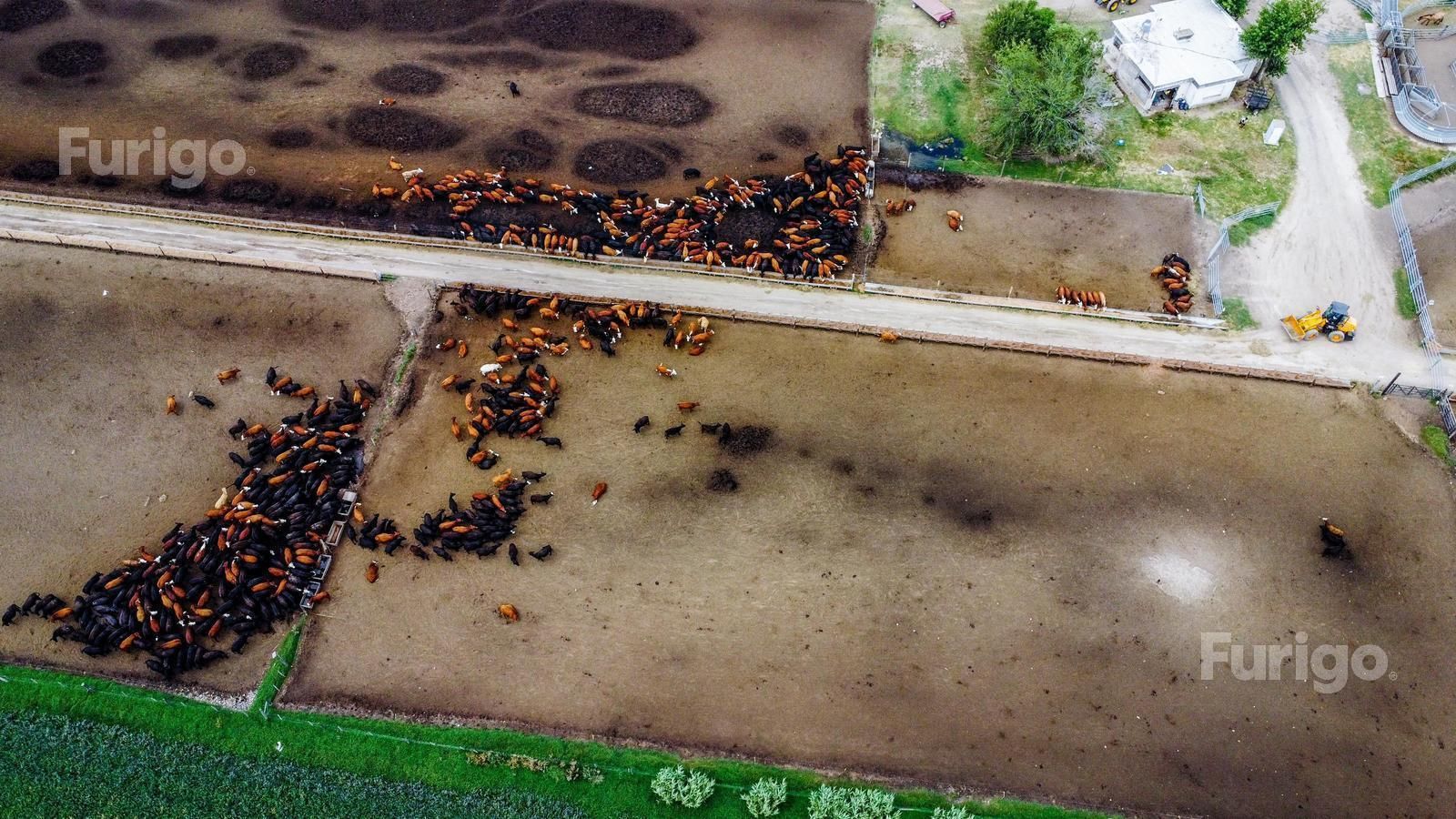 Campo en Venta en Rosario, Santa Fe