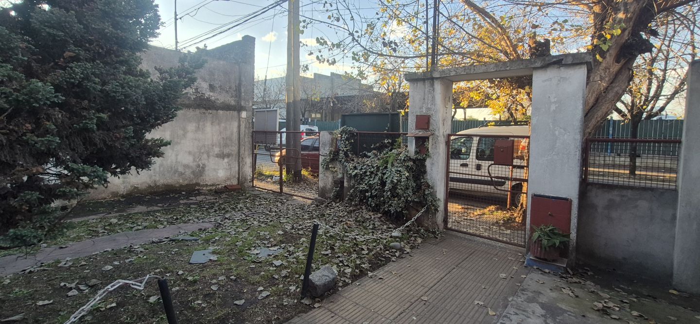 Imagen 7