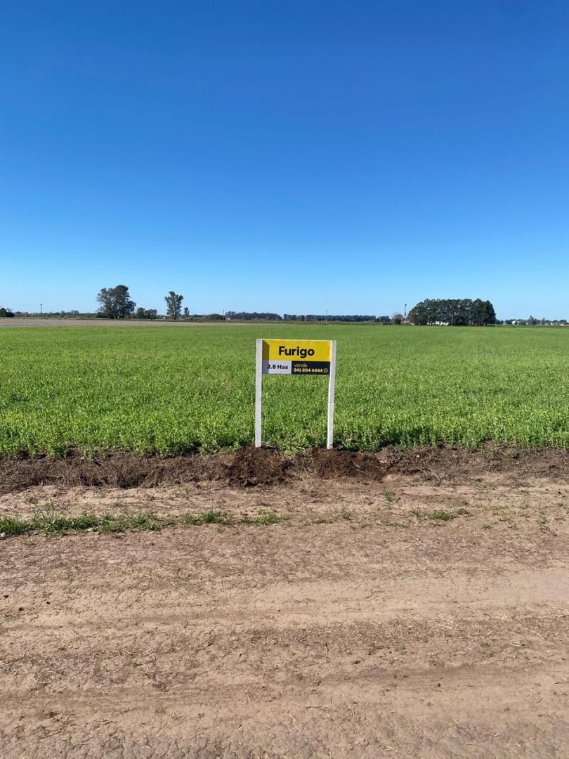 VENTA DE CAMPO EN General Lagos - 3