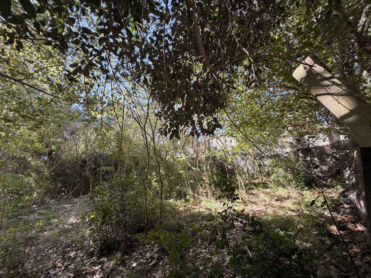 Lote EN VENTA