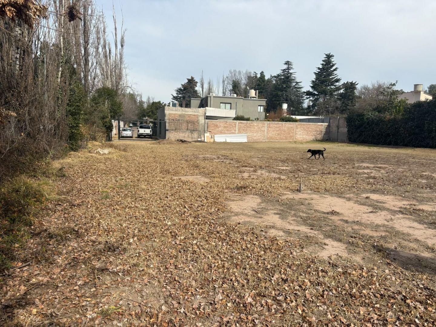 Lote en Venta en Lujan de Cuyo, Mendoza