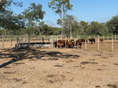 Campo EN VENTA