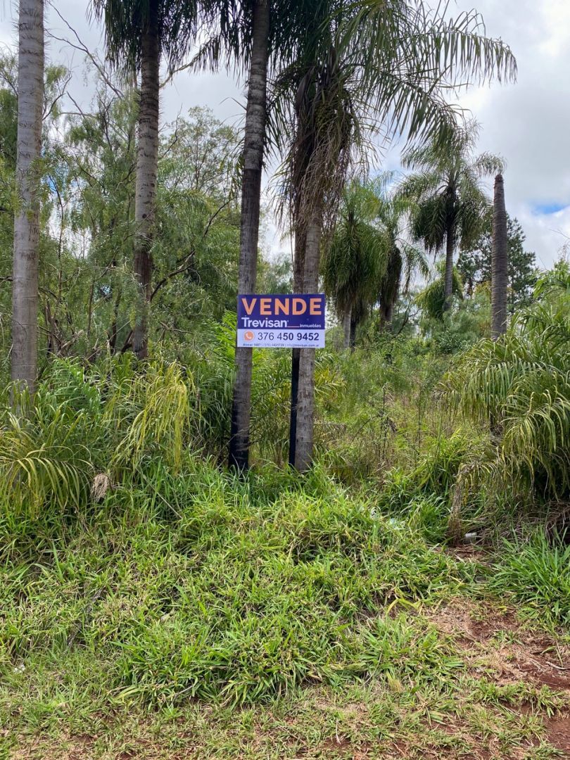 Lote EN VENTA