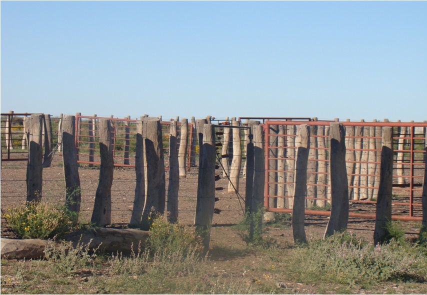 Campo EN VENTA