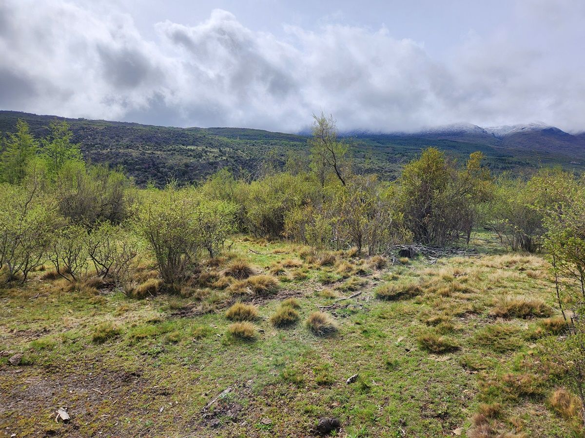 Campo EN VENTA