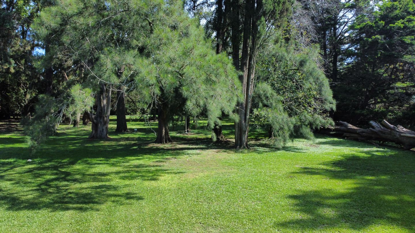 Lote EN VENTA