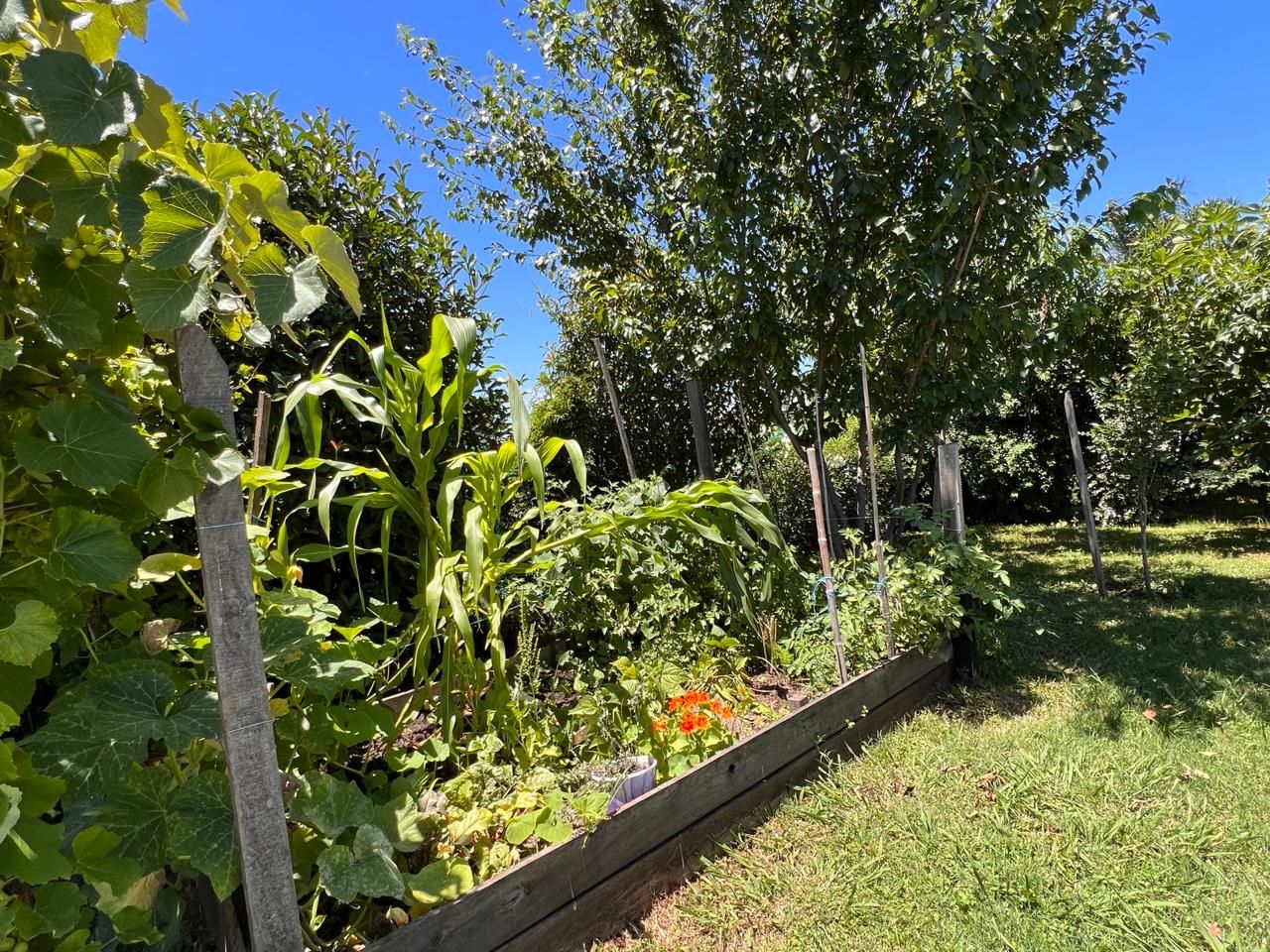 VENTA DE CASA EN Escobar - Haras Santa María - 42