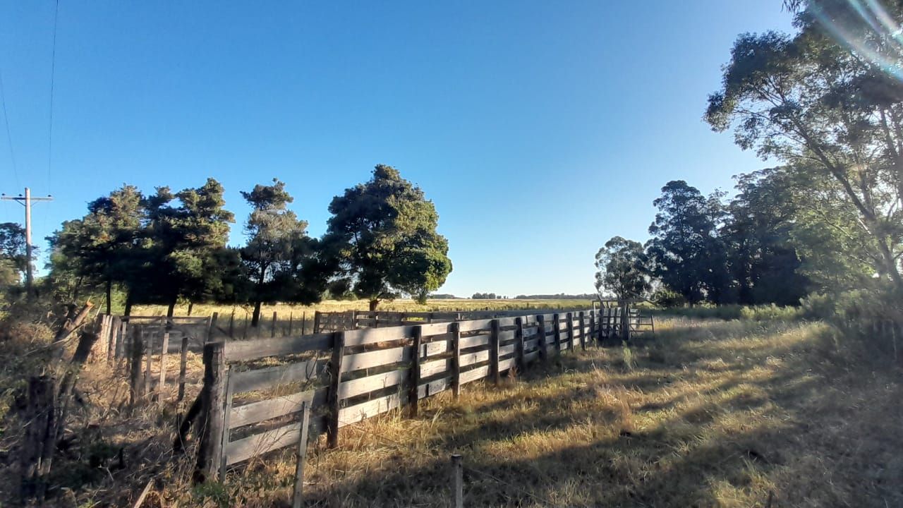 Campo EN VENTA