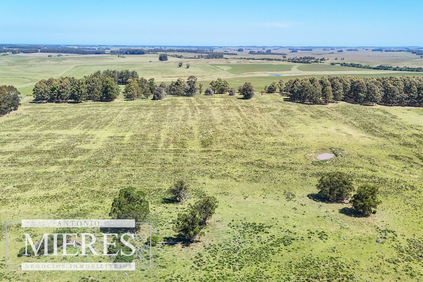 Campo EN VENTA